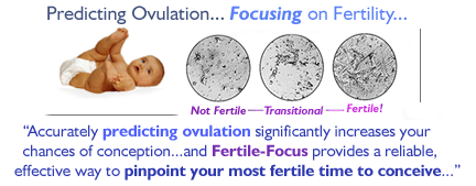Ovulation is the time in your menstrual cycle you're most fertile and  likely to get pregnant. This week for #babymakingszn, we made ovula